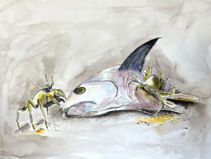 Krabbenfisch Original