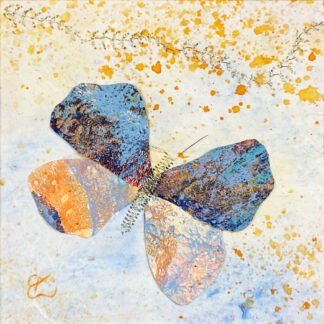 Schmetterlinge