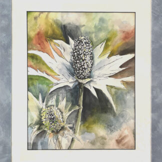 Silberdistel Original