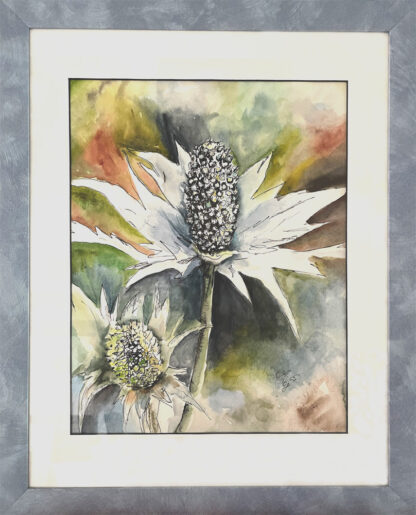 Silberdistel Original