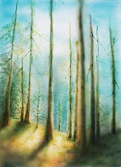 Wald Original